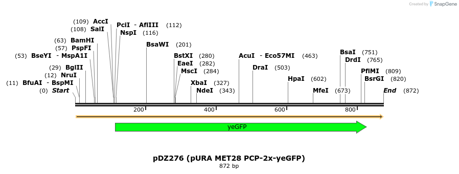 44536_map