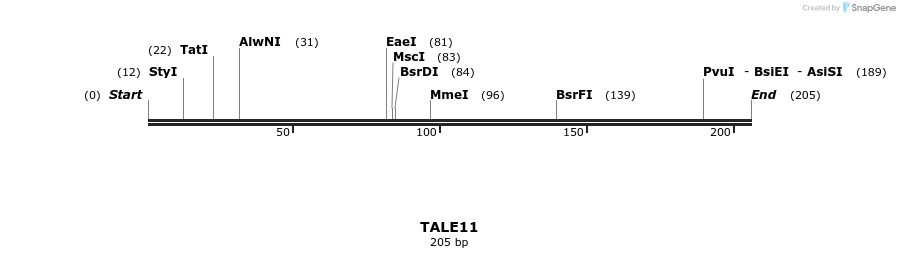 44541_map