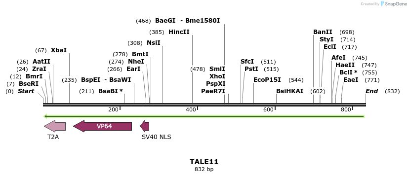 44542_map