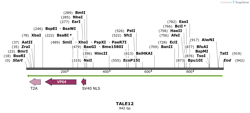 44543_map