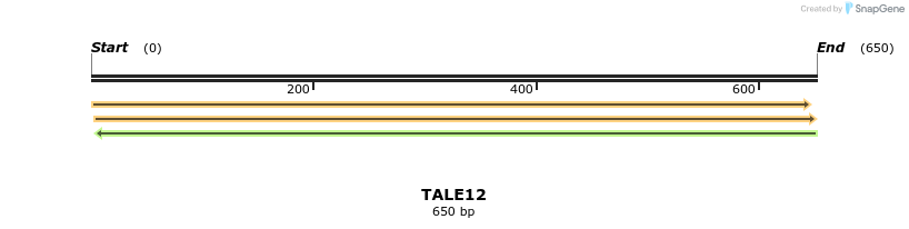 44544_map