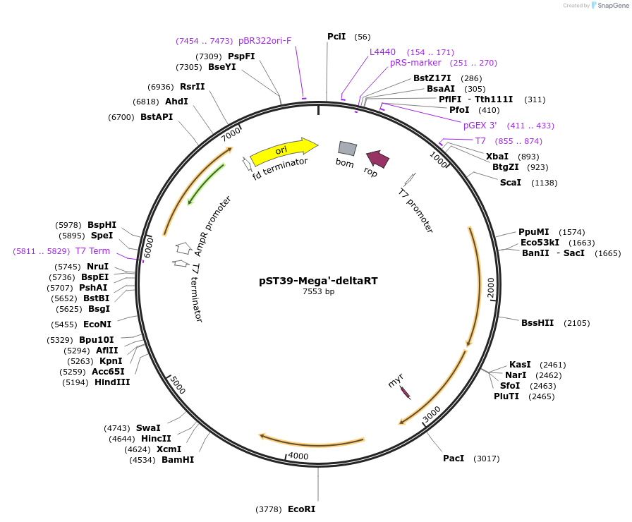 445450_map