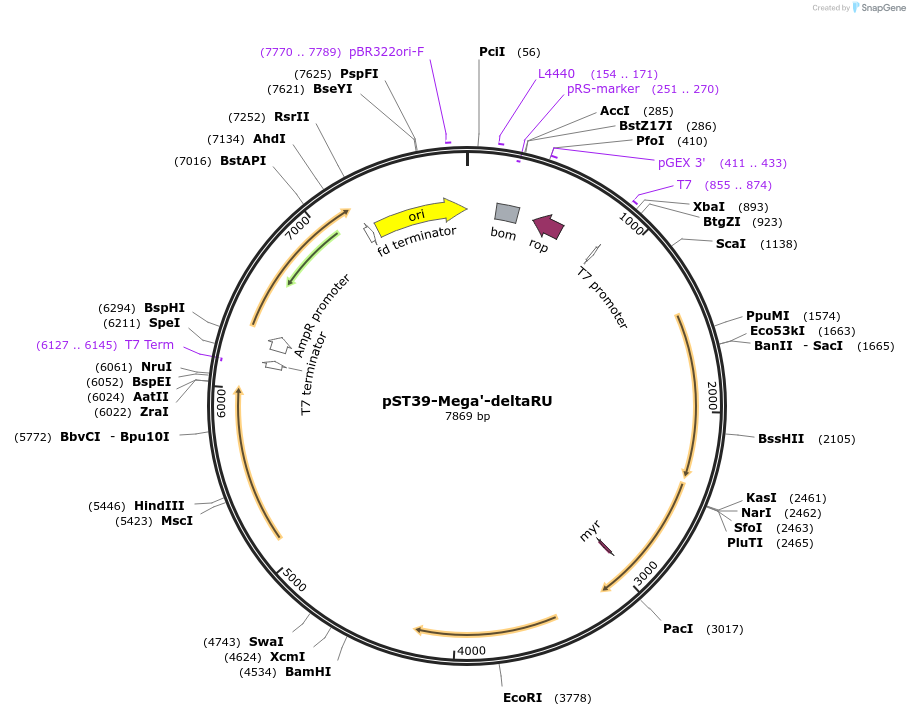 445458_map