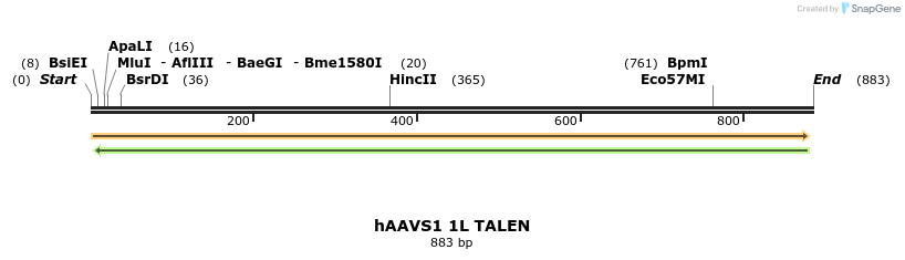 44546_map