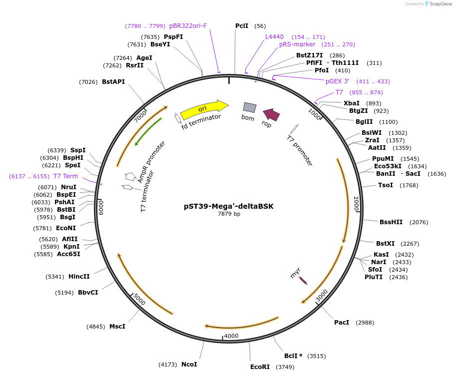 445471_map