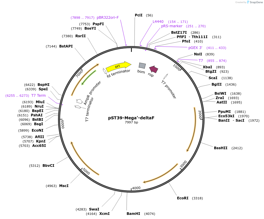445482_map