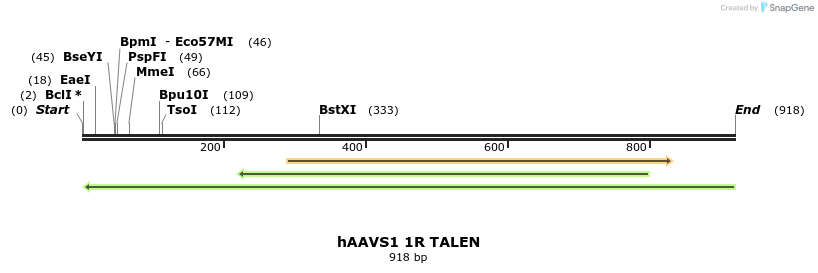 44550_map