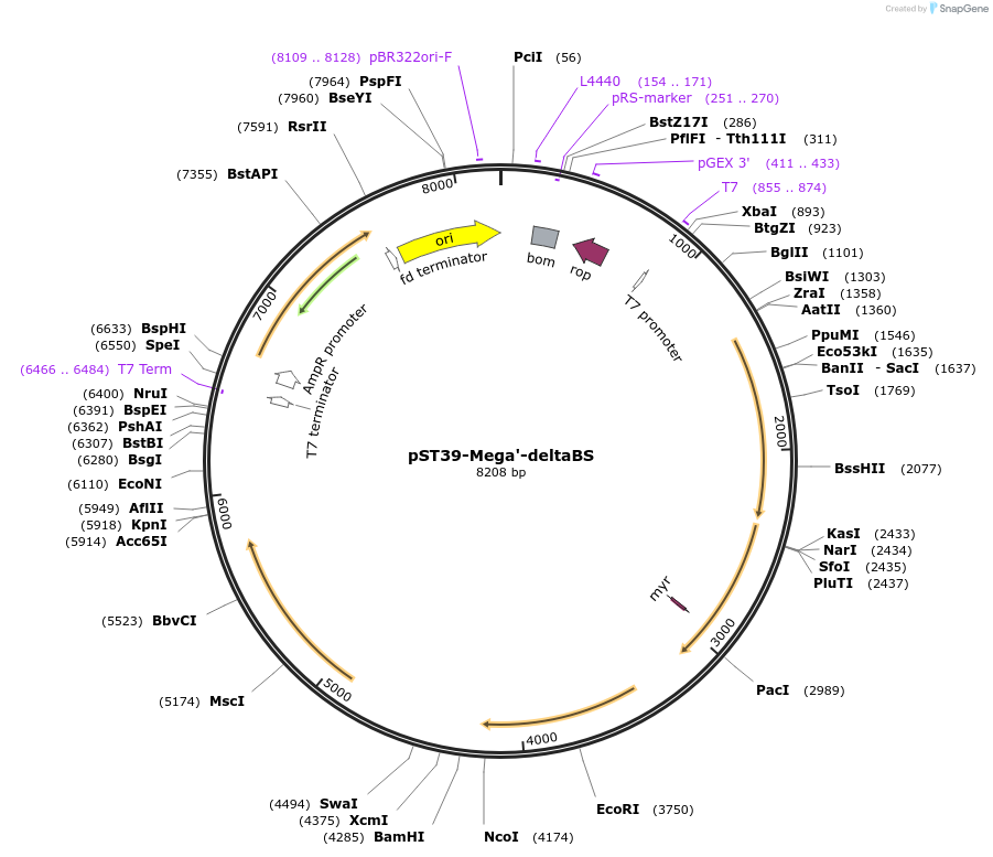 445529_map