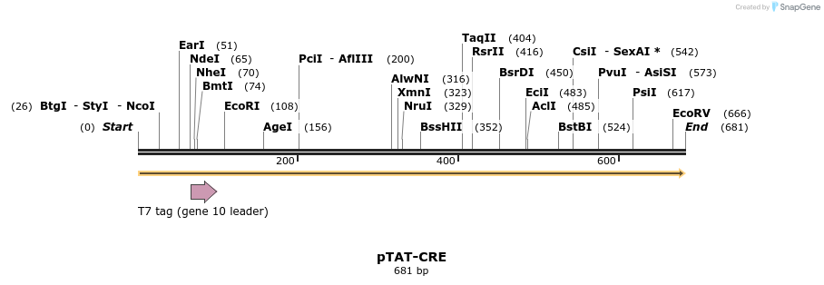 44555_map