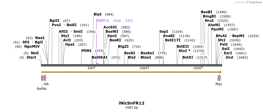 445551_map