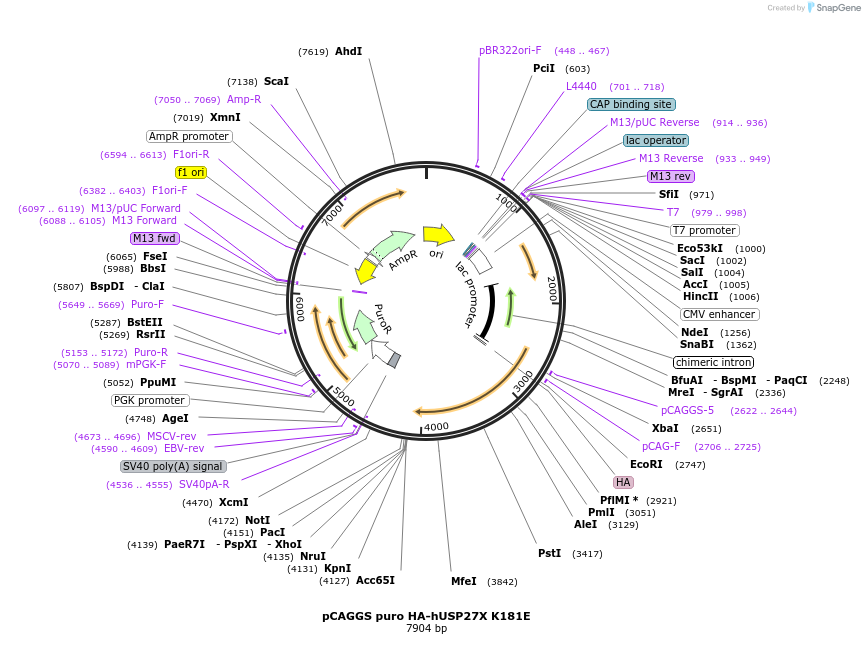 445598_map