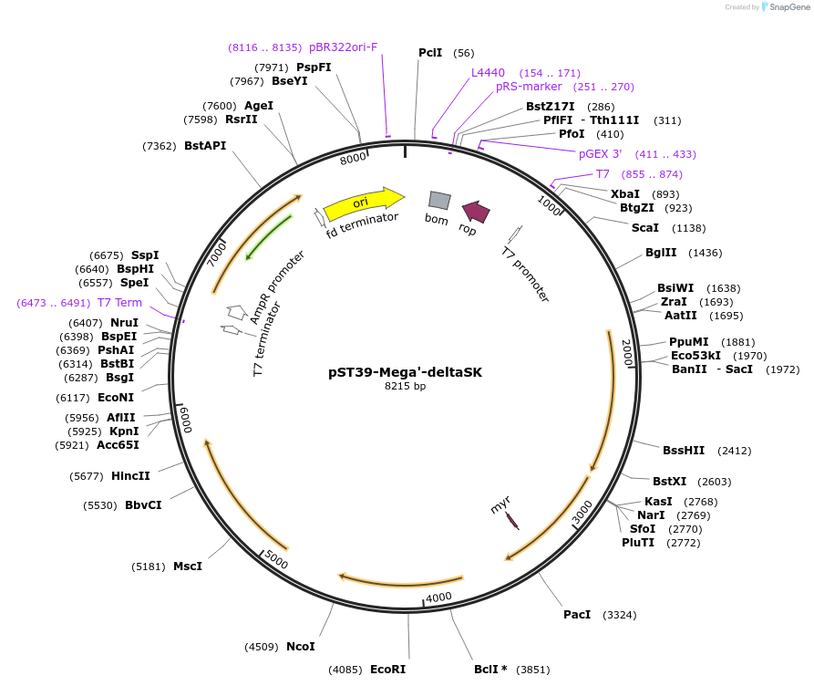 445606_map