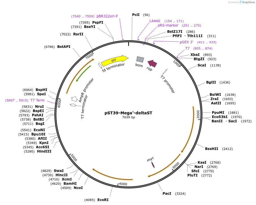 445608_map
