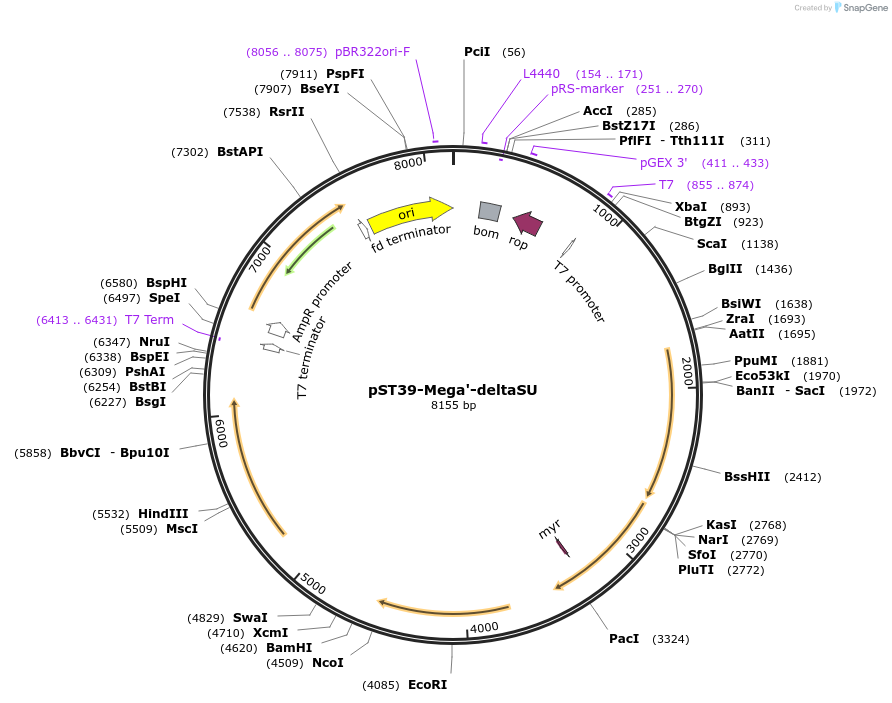 445610_map
