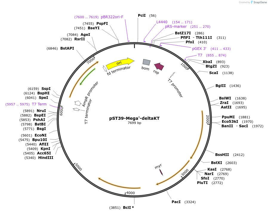 445613_map