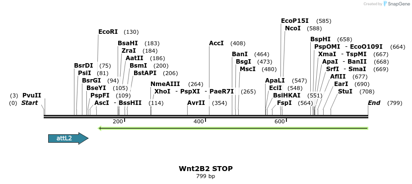 44562_map