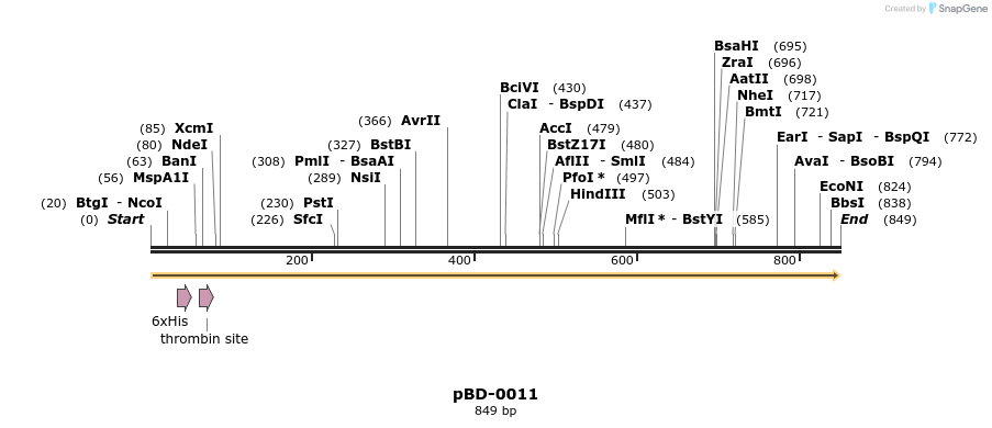 44566_map