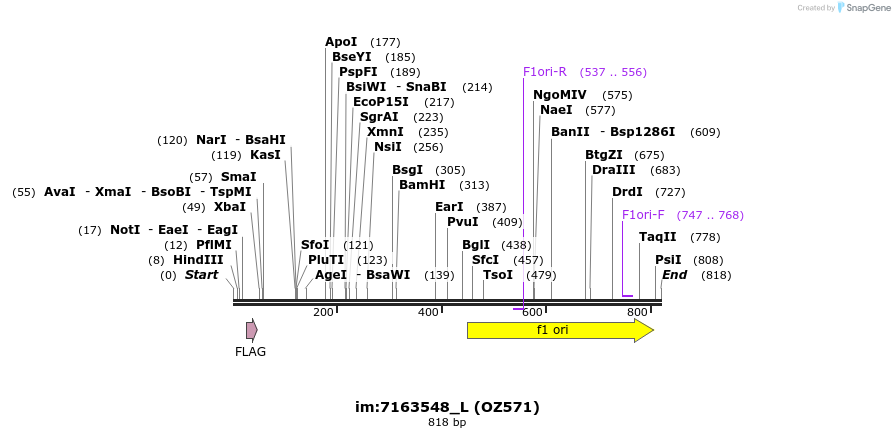 44567_map