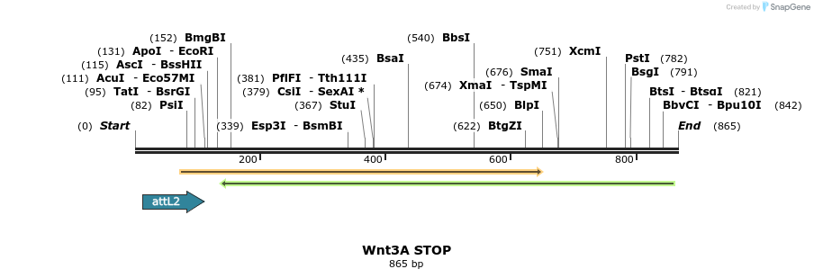 44570_map