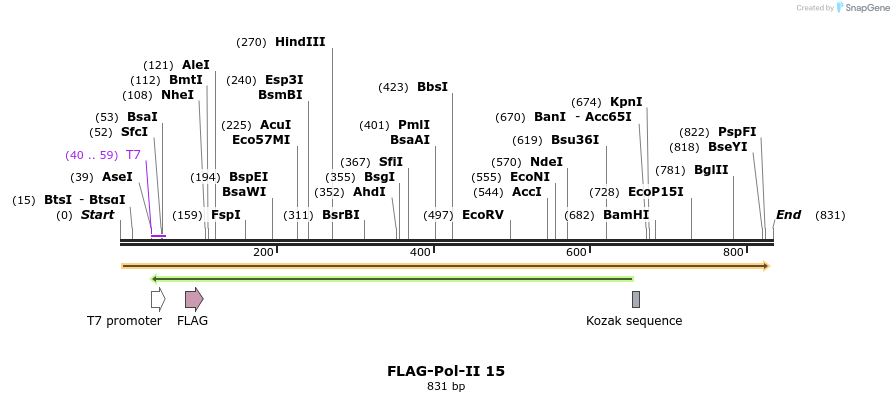 44571_map