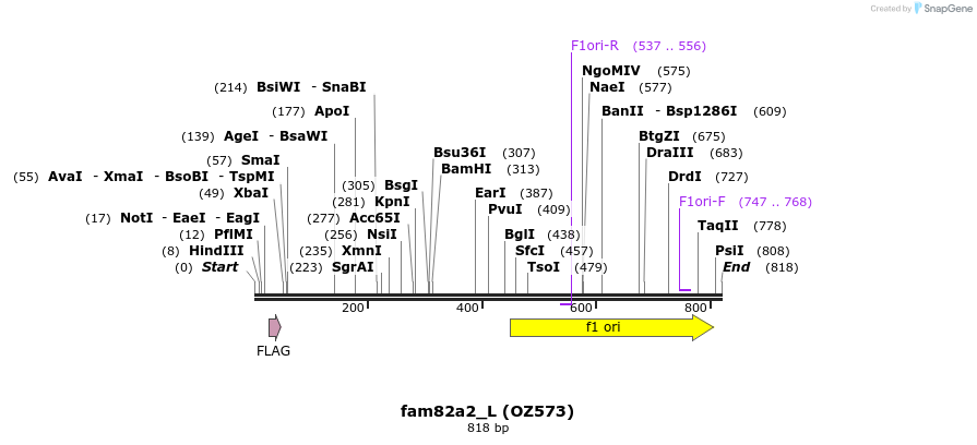 44572_map