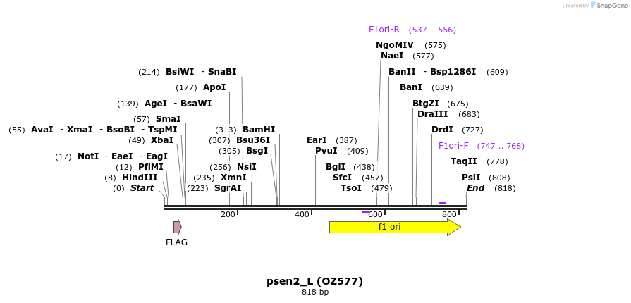 44574_map