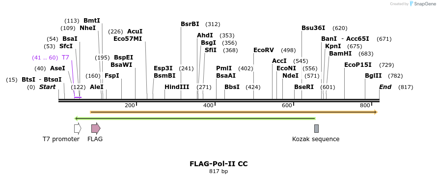44575_map