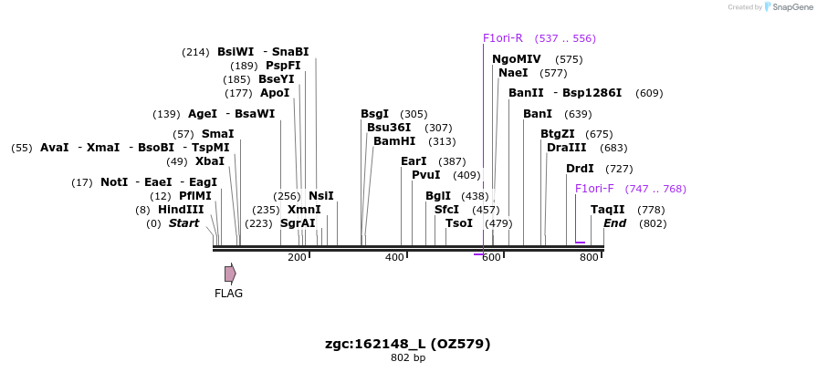 44577_map