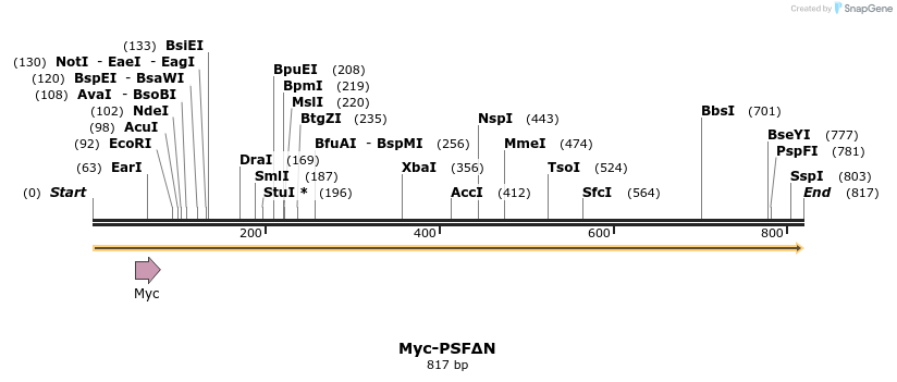 44579_map