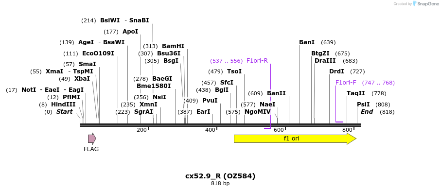44581_map
