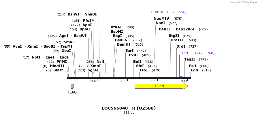 44583_map
