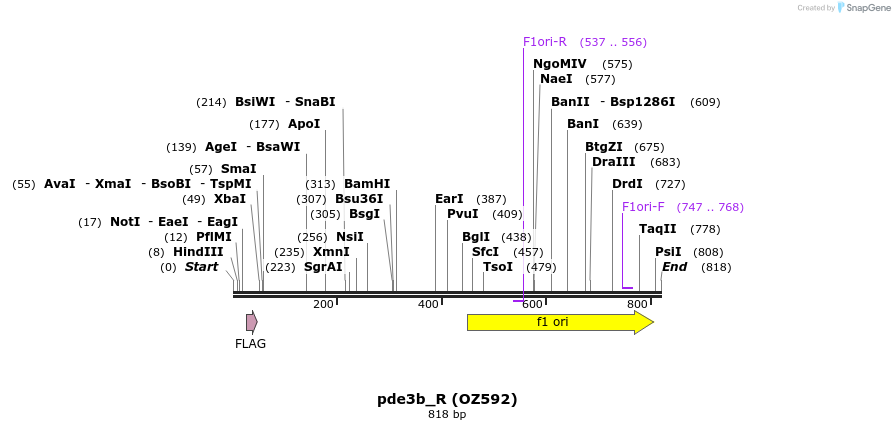 44586_map