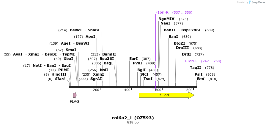 44587_map