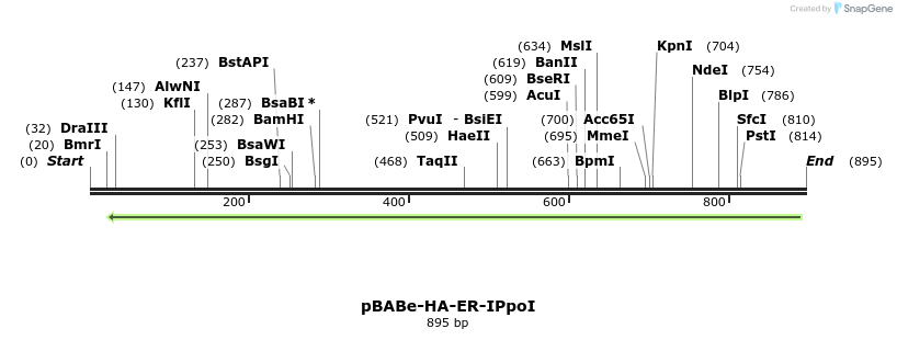 44592_map