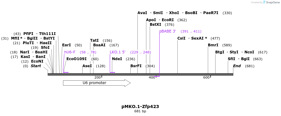 44593_map