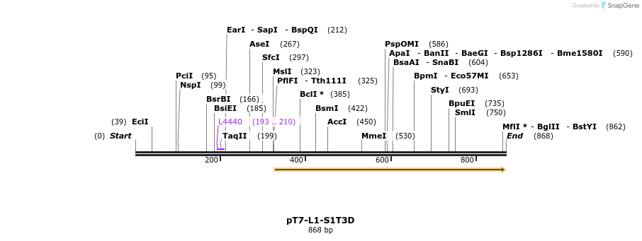 44594_map