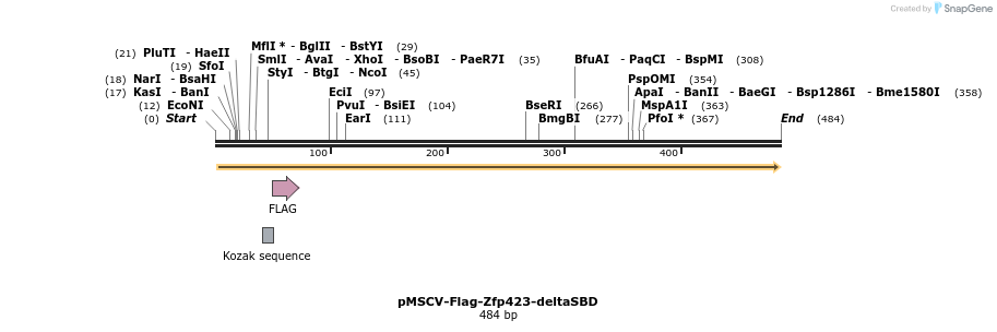 44595_map
