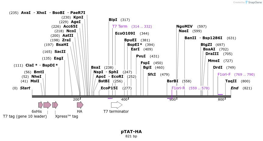 44597_map