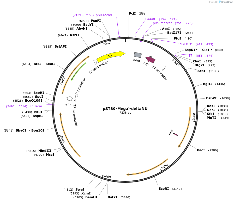 445972_map