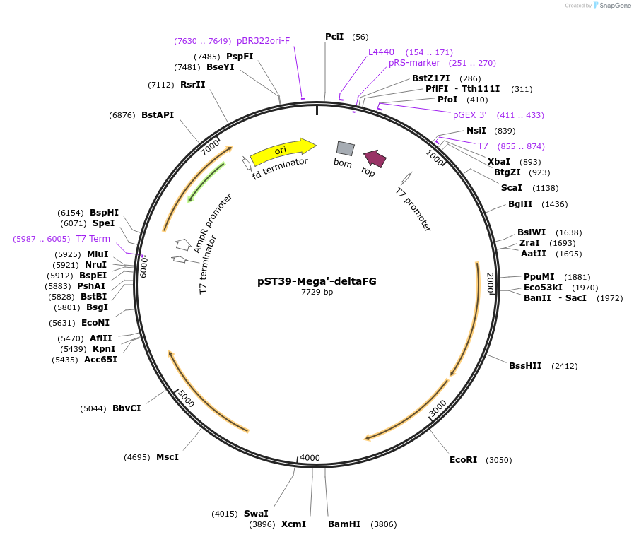 445975_map
