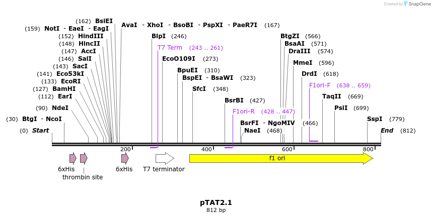 44598_map