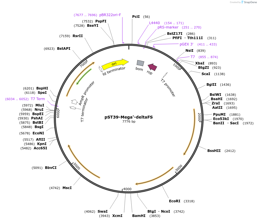 445980_map