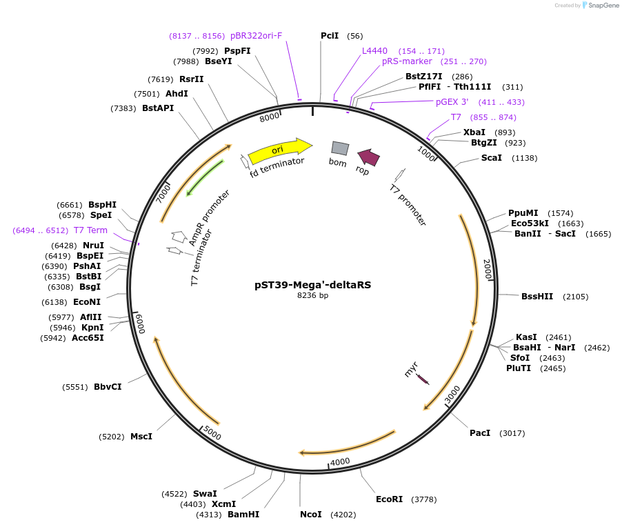 445987_map