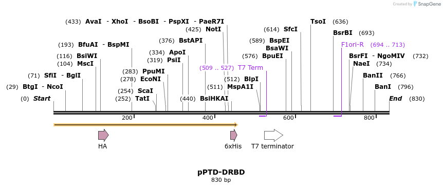 44599_map