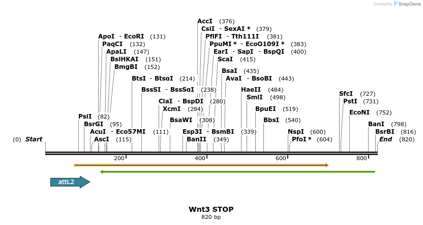 44601_map
