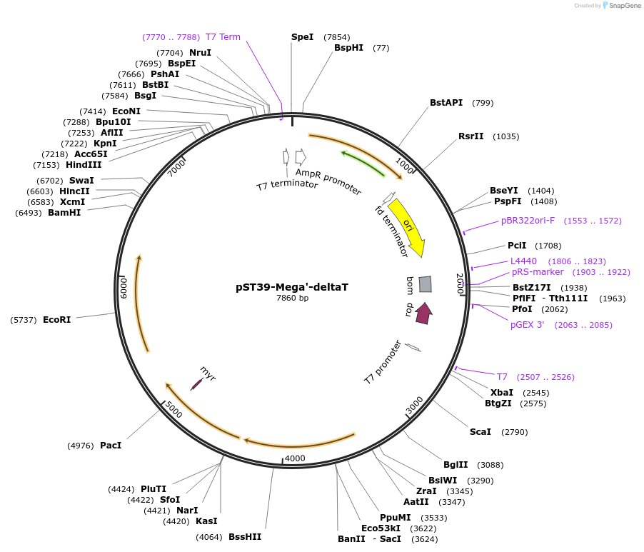 446024_map