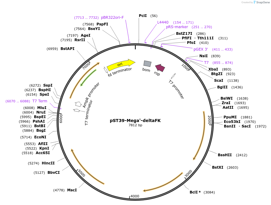 446025_map