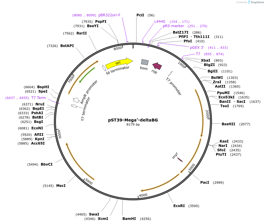 446026_map