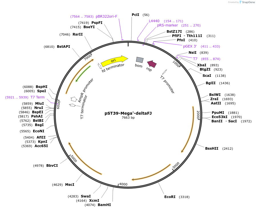 446027_map