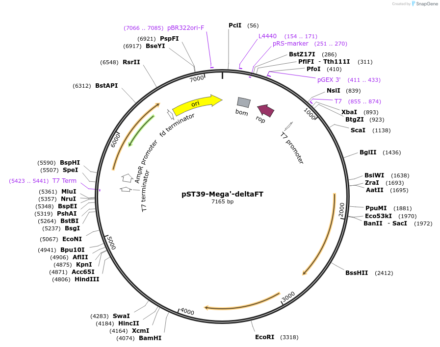 446028_map